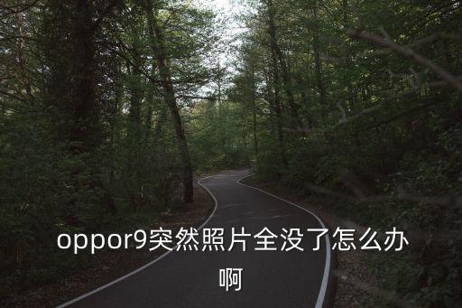  oppor9突然照片全沒了怎么辦啊