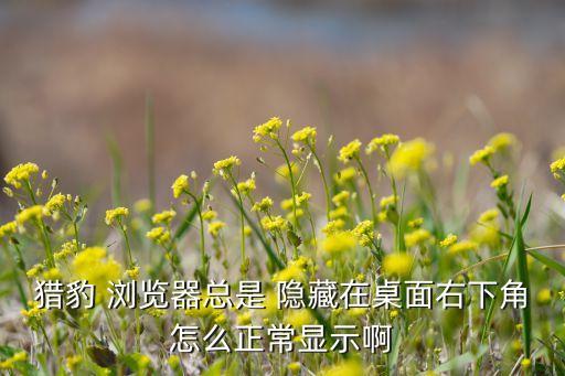 手機瀏覽器 自動隱藏,獵豹安全瀏覽器是獵豹移動旗下產(chǎn)品之一