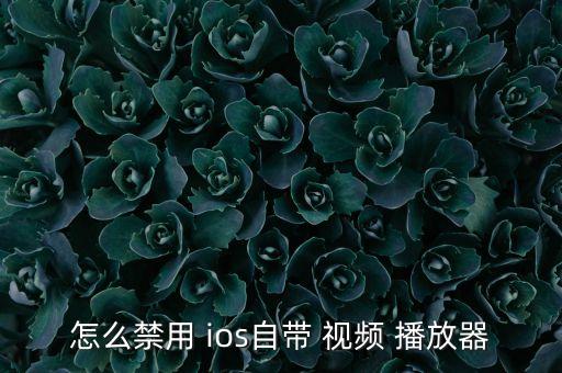 ios視頻自動播放怎么禁止,蘋果手機怎么用?一文看懂