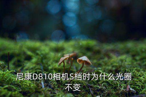 尼康s檔自動iso,通過iso設置就可以輕松完成拍攝