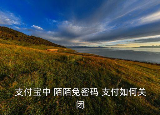  支付寶中 陌陌免密碼 支付如何關(guān)閉