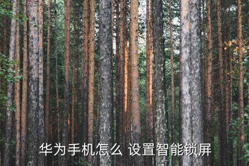  華為手機(jī)怎么 設(shè)置智能鎖屏