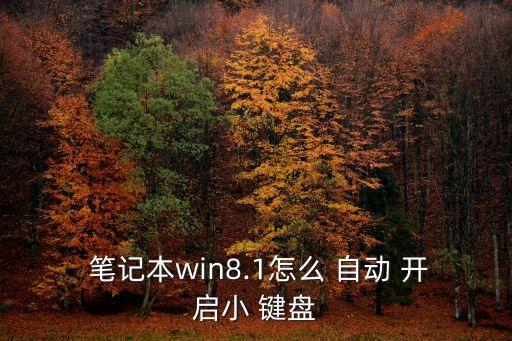筆記本開機(jī)自動(dòng)開啟小鍵盤,電腦怎么用?
