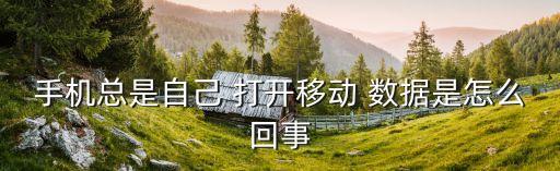手機總是自己 打開移動 數(shù)據(jù)是怎么回事