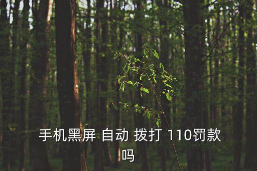  手機(jī)黑屏 自動(dòng) 撥打 110罰款嗎