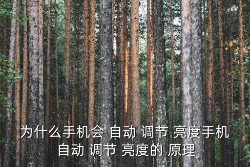 為什么手機(jī)會 自動 調(diào)節(jié) 亮度手機(jī) 自動 調(diào)節(jié) 亮度的 原理