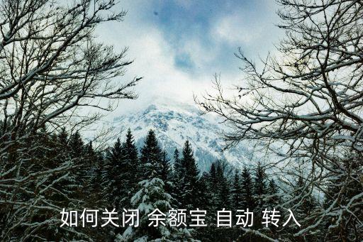 余額寶如何取消自動(dòng)轉(zhuǎn)入,余額寶怎么轉(zhuǎn)出到余額的資金?
