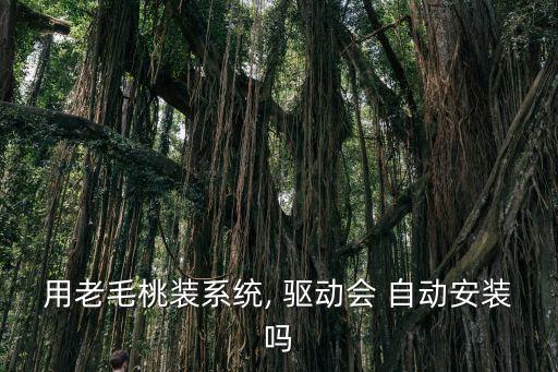 用老毛桃裝系統(tǒng), 驅(qū)動會 自動安裝嗎