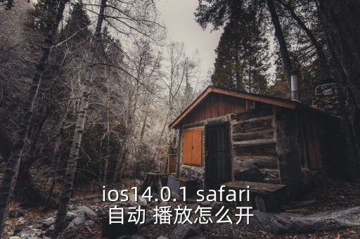 safari 取消自動播放,蘋果怎么關(guān)機(jī)safari?