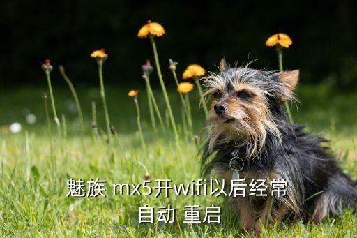  魅族 mx5開wifi以后經(jīng)常 自動 重啟