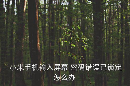 為什么小米自動鎖屏密碼錯誤,手機遺忘鎖屏密碼怎么辦?