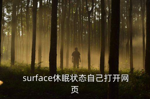  surface休眠狀態(tài)自己打開(kāi)網(wǎng)頁(yè)