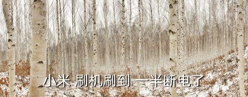 小米 刷機刷到 一半斷電了