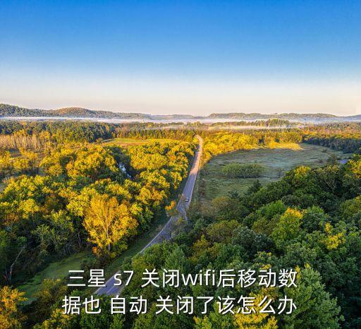  三星 s7 關(guān)閉wifi后移動數(shù)據(jù)也 自動 關(guān)閉了該怎么辦