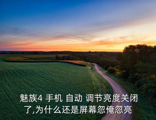  魅族4 手機(jī) 自動(dòng) 調(diào)節(jié)亮度關(guān)閉了,為什么還是屏幕忽俺忽亮