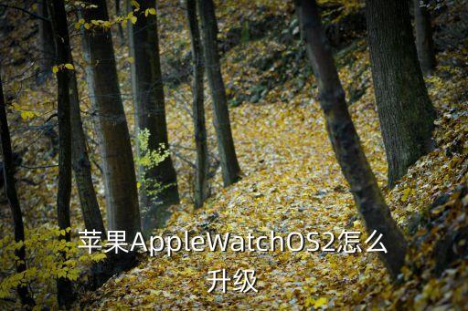applewatch自動重啟,iphone升級步驟