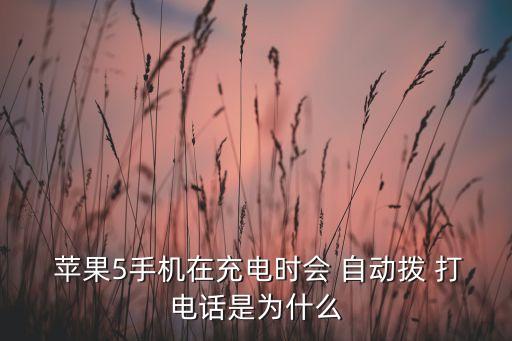  蘋果5手機在充電時會 自動撥 打電話是為什么