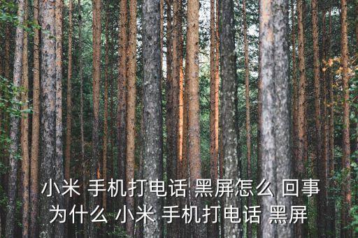 小米手機怎么自動黑屏怎么回事,手機突然黑屏怎么辦?