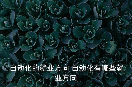  自動(dòng)化的就業(yè)方向 自動(dòng)化有哪些就業(yè)方向