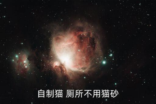 自制貓 廁所不用貓砂