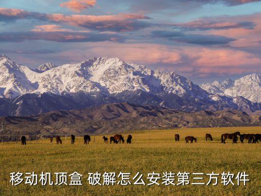 移動機頂盒 破解怎么安裝第三方軟件
