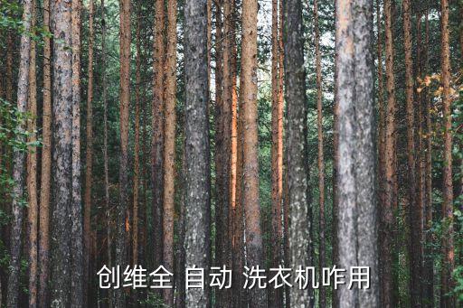  創(chuàng)維全 自動 洗衣機咋用