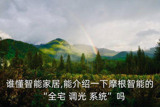 自動調(diào)光系統(tǒng),智能家居控制系統(tǒng)摩根全屋調(diào)光/1233