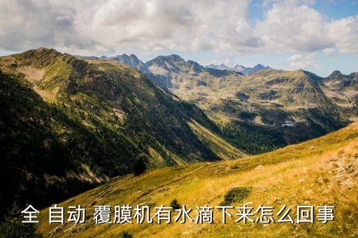 卡片自動(dòng)覆膜機(jī),全自動(dòng)覆膜機(jī)優(yōu)點(diǎn)多不用膠水成本降低很明顯