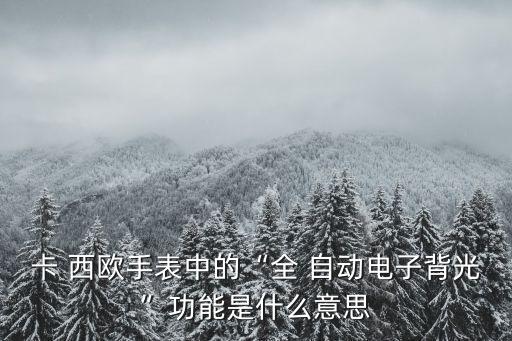 卡西歐自動(dòng)led,卡西歐自動(dòng)背光裝置led元宵節(jié)自動(dòng)亮起