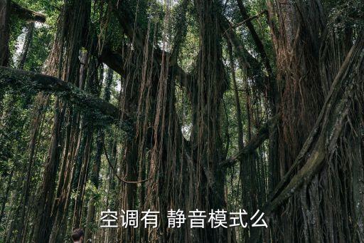 空調(diào)自動靜音和靜音,空調(diào)是否更耗電?