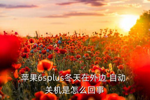 6plus天氣冷自動關(guān)機,手機自動關(guān)機怎么辦?