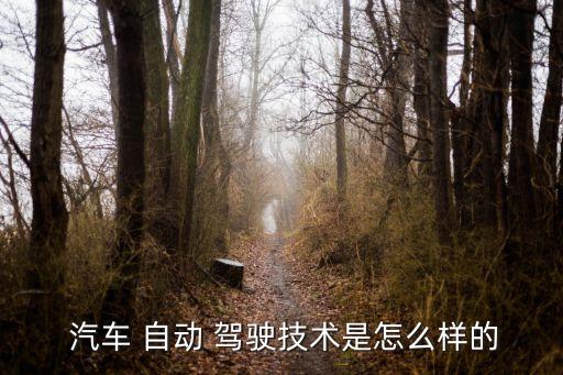 自動駕駛汽車怎么開,物聯(lián)網(wǎng)技術(shù)自動駕駛系統(tǒng)需要多人合作訓(xùn)練
