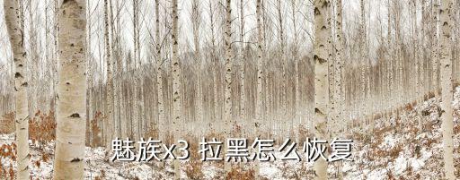 魅族 關閉 自動拉黑,手機號碼為拉黑來電者會聽到什么提示?