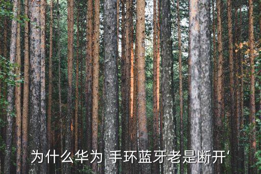 埃微手環(huán)自動(dòng)重連,華為榮耀手環(huán)將與藍(lán)牙手機(jī)重新連接