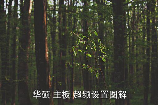  華碩 主板 超頻設(shè)置圖解