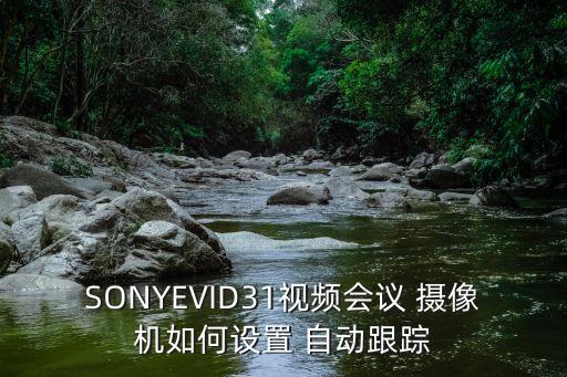 自動跟拍攝像機(jī),這些攝像機(jī)如何賺大錢?