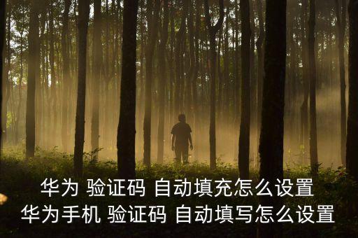  華為 驗證碼 自動填充怎么設(shè)置 華為手機 驗證碼 自動填寫怎么設(shè)置