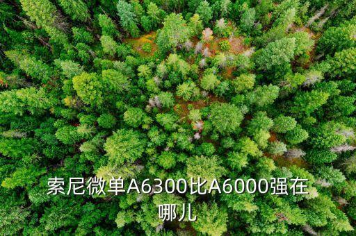 a6300自動(dòng)聚焦,a6300影像傳感器六大不同之處
