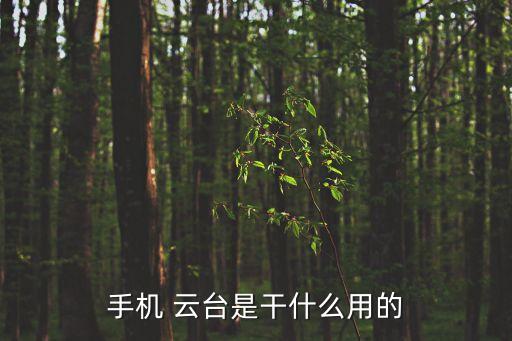 手持云臺(tái)能自動(dòng)旋轉(zhuǎn)嗎,dji手持云臺(tái)為何會(huì)掉頭?原因揭曉