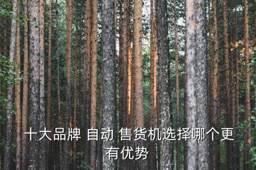  十大品牌 自動 售貨機選擇哪個更有優(yōu)勢