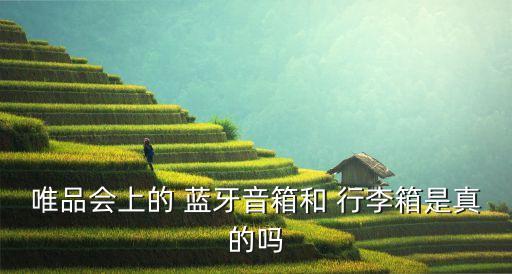 唯品會上的 藍牙音箱和 行李箱是真的嗎