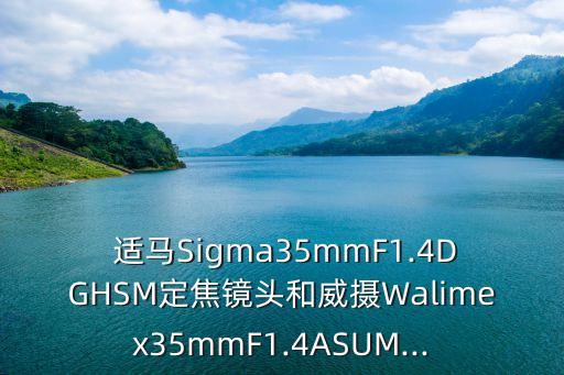 適馬Sigma35mmF1.4DGHSM定焦鏡頭和威攝Walimex35mmF1.4ASUM...