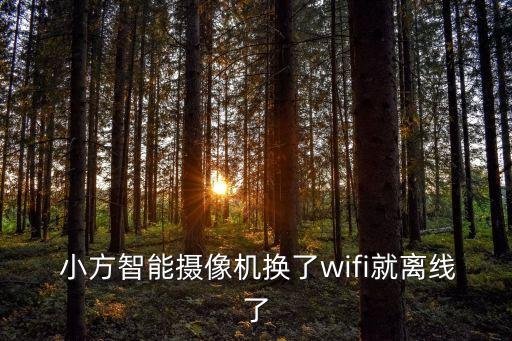 小方監(jiān)控錄像自動(dòng),小方智能攝像機(jī)如何在網(wǎng)絡(luò)連接方面解答?