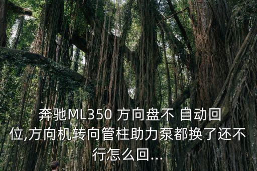 奔馳車方向盤自動,如何啟動奔馳car?