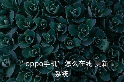 “ oppo手機”怎么在線 更新 系統(tǒng)
