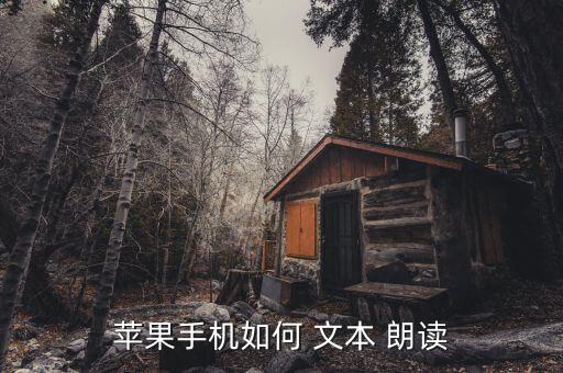 蘋果手機(jī)如何 文本 朗讀
