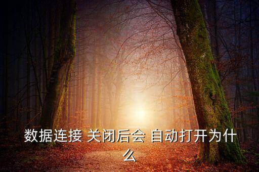數(shù)據(jù)關閉后自動開啟,手機上網(wǎng)開關開啟自動關閉四種情況會導致
