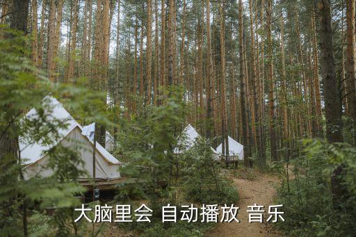 大腦自動(dòng)放音樂,從小愛聽音樂的我終于考上大學(xué)了