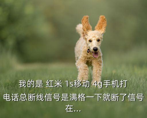 紅米1s移動(dòng)版4g版自動(dòng)聯(lián)網(wǎng)怎么辦,手機(jī)自動(dòng)關(guān)機(jī)怎么辦?