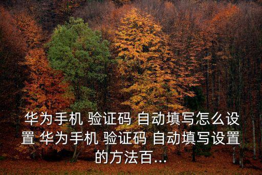 p10華為自動讀取驗證碼,華為手機怎么用?
